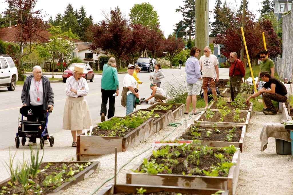 The Past & Future of the Sechelt Streetside Garden